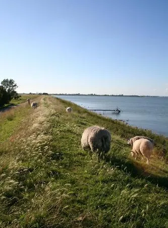 't Wapen 3* Middelie