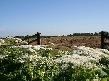 't Wapen 3* Middelie