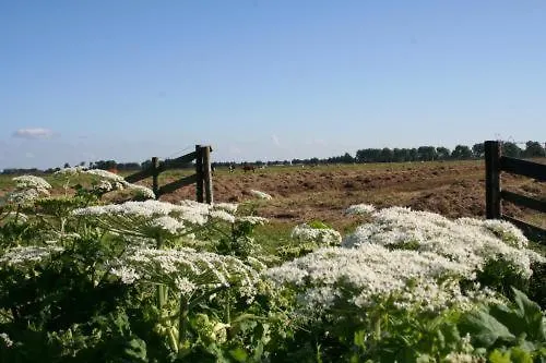 't Wapen 3* Middelie