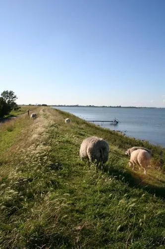 't Wapen 3* Middelie